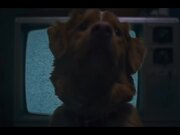 Good Boy Exclusive Trailer