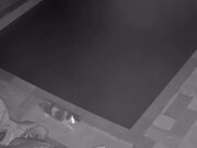 Cats Accidentally Fall Into Pool While Running