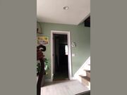 Paws-itively Hilarious