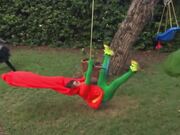 Paws-itively Hilarious