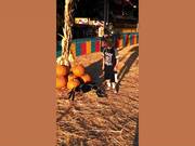 When Tricks Go Way Wrong