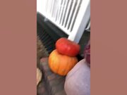 When Tricks Go Way Wrong