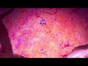 All You Need Is Kill Trailer