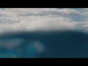 Killer Whale Trailer