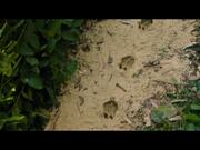 Send Help Trailer #2