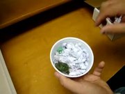 Mutant Turtle with Two Heads