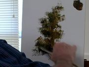 Mastering How To Paint Trees