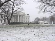 Slow Motion Snow in DC