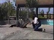 Alligator Wrestling