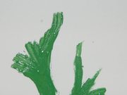 William Putt Animation