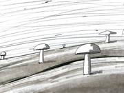 Animation - Mushrooms