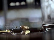 Chandon - After Party