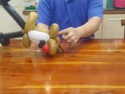 Balloon Modeling - Elk 3/3