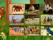 Puzzles: Animals