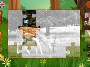 Puzzles: Animals
