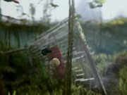 Freeview ‘Pondview’