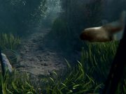 Freeview ‘Pondview’