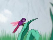 One Froggy Breakfast