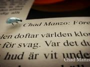 Visual Design Conference / Intro