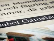 Visual Design Conference / Intro