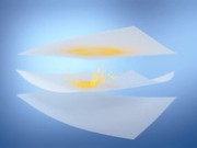 Chieng / Cellox / Ladybug