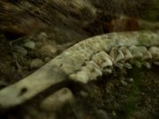 Looking Closer - A Vimeo Weekendproject