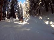 RAD Trip - POW!