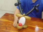 Balloon Modeling - Elk 2/3