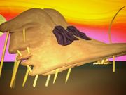 Dali Sleep - Dara Greaney