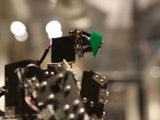 Unreasonable at Sea: Vignette - Protei