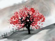 “Obsession” Chocolate