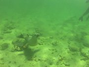 Baird Bay / Australia