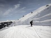 Freestyle Perspectives 2014