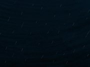 Animation - PokéLINGO