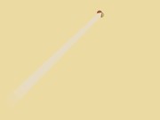 Can’t Catch ‘Em All