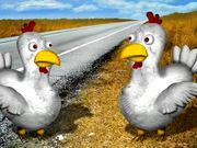 Highway Chickens