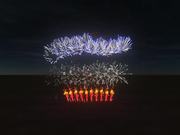 Fireworks Show - FWsim Simulator