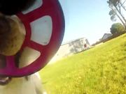 Dog Frisbee POV