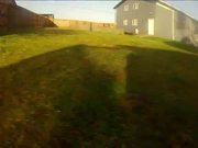 Dog Frisbee POV