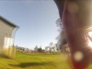 Dog Frisbee POV