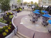 Bird POV test project - 2