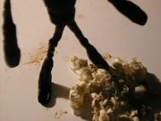 Showreel 2005 - 2010