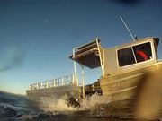 Dances With Sea Wolves