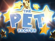 The Pet Factor Cat
