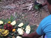 Sumatra - A Journey To Remember