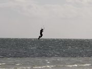 The Properties Of Water