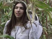 A Beekeepers Exploration