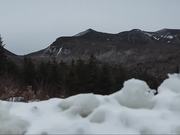 A Beekeepers Exploration