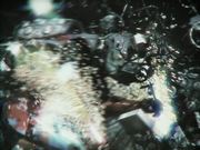 Cuatrobots - Cemetery