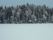 Two Fifty Three Kelvin